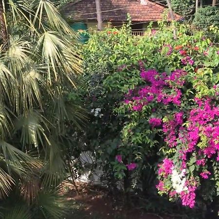 1 Bhk Luxury Beachside Homestay In South Goa Betalbatim Exterior foto